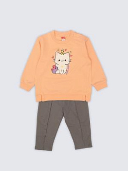 CSBG90291-47-434 CSBG90291-47-434